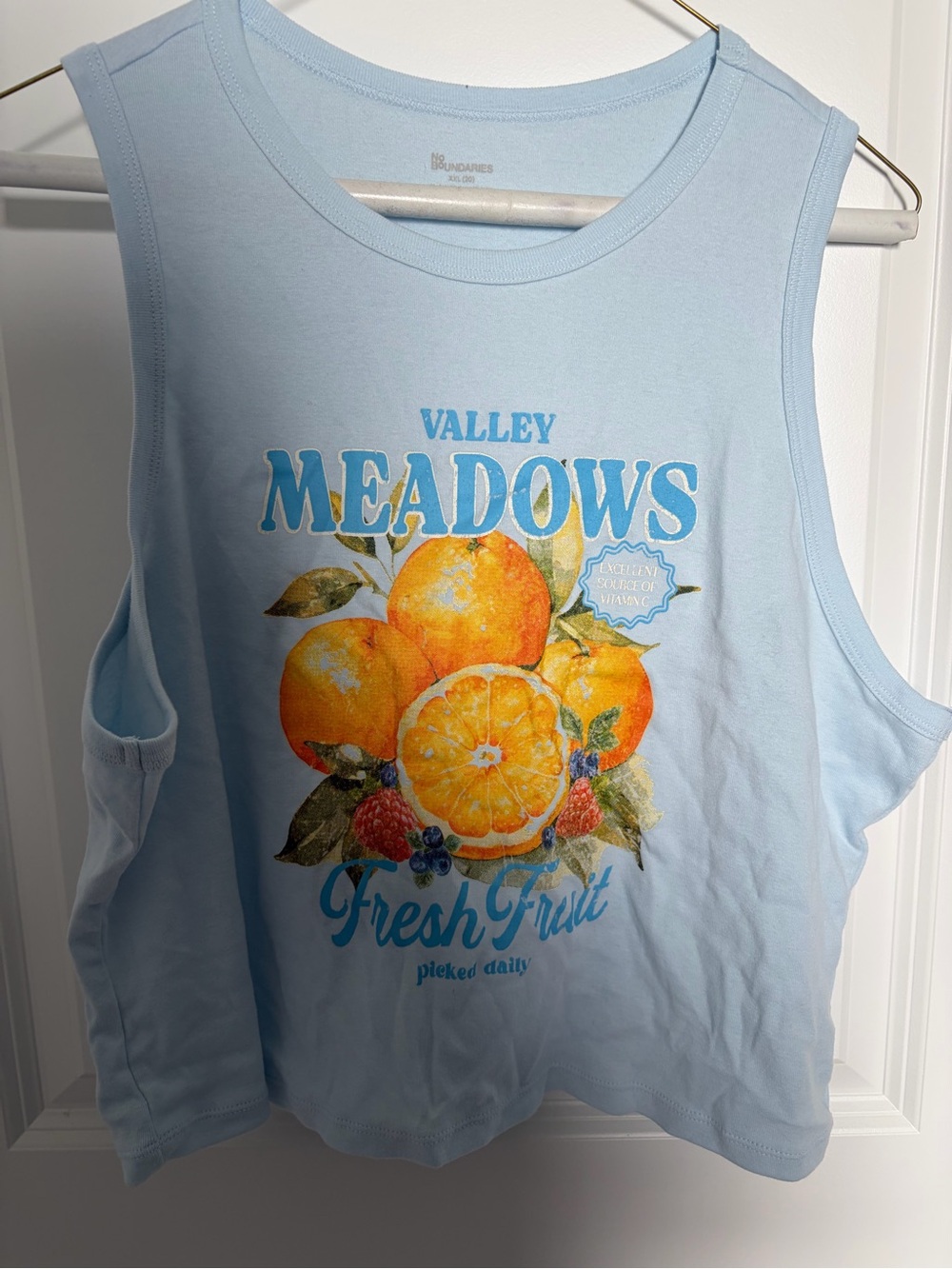 No Boundaries Light Blue Fruit Graphic Crop Tank